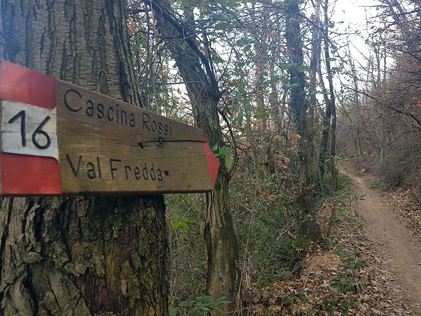 Sentiero 16 della Maddalena