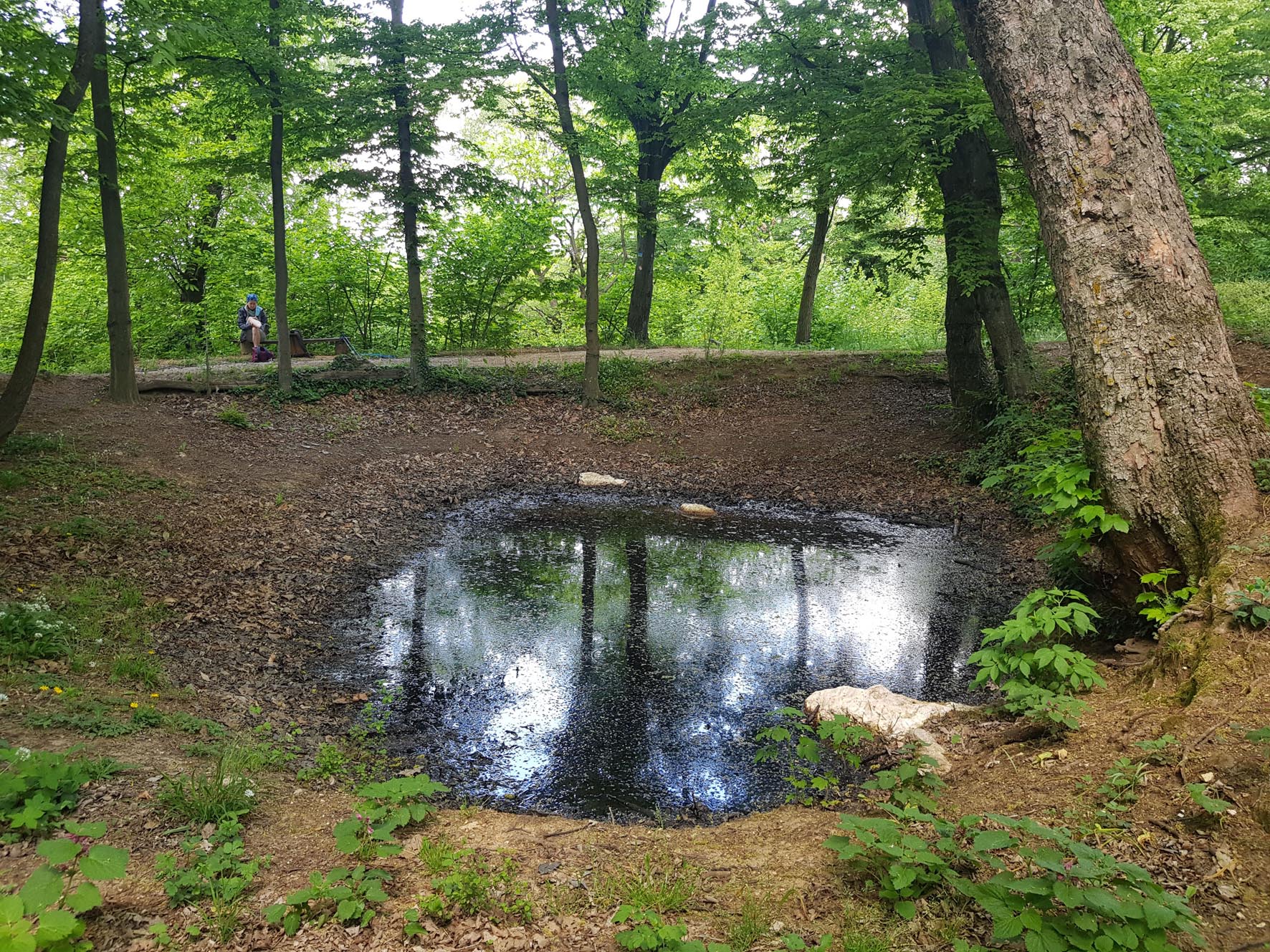 Vista del percorso del sentiero 3 della Maddalena