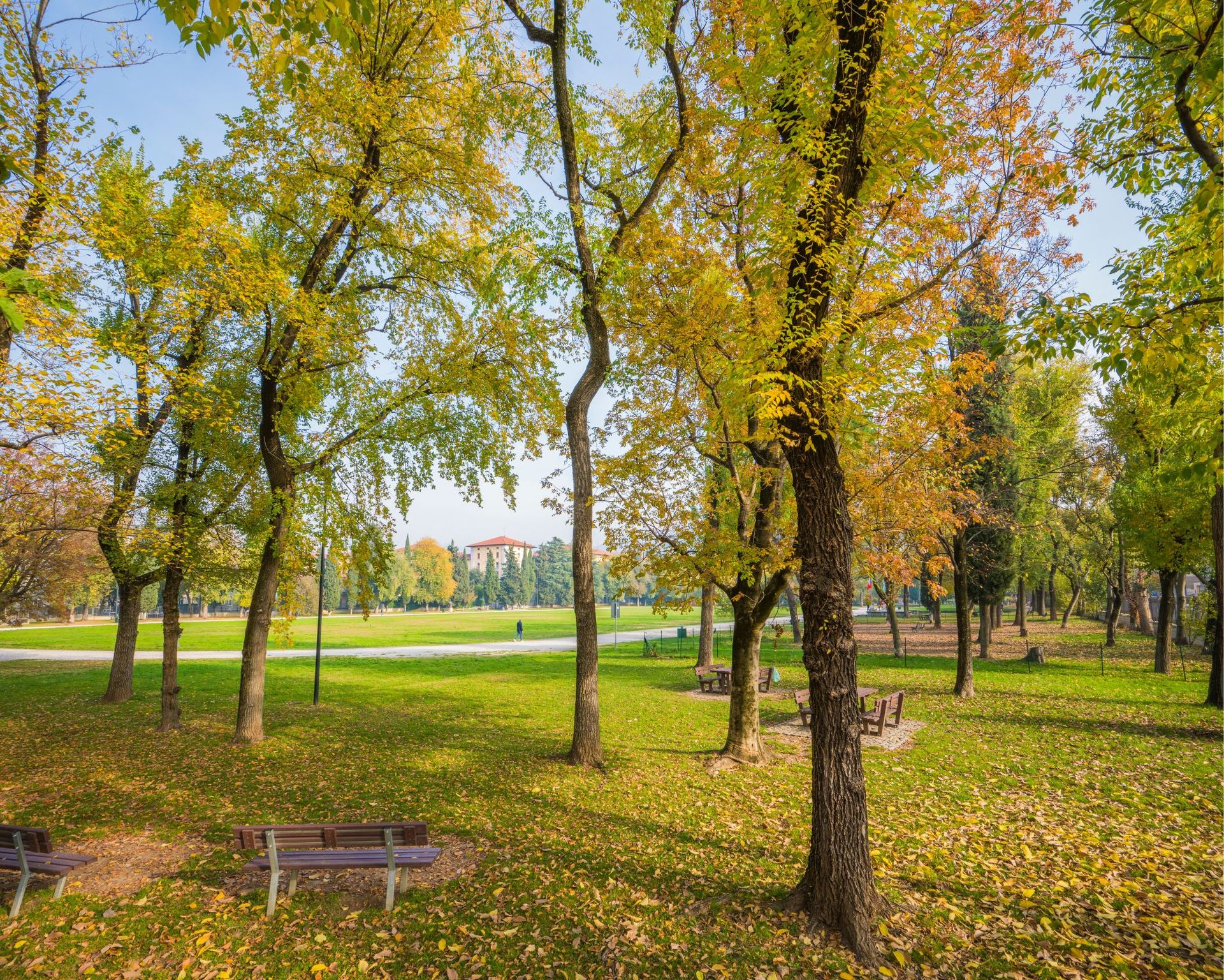 parcocampomarte