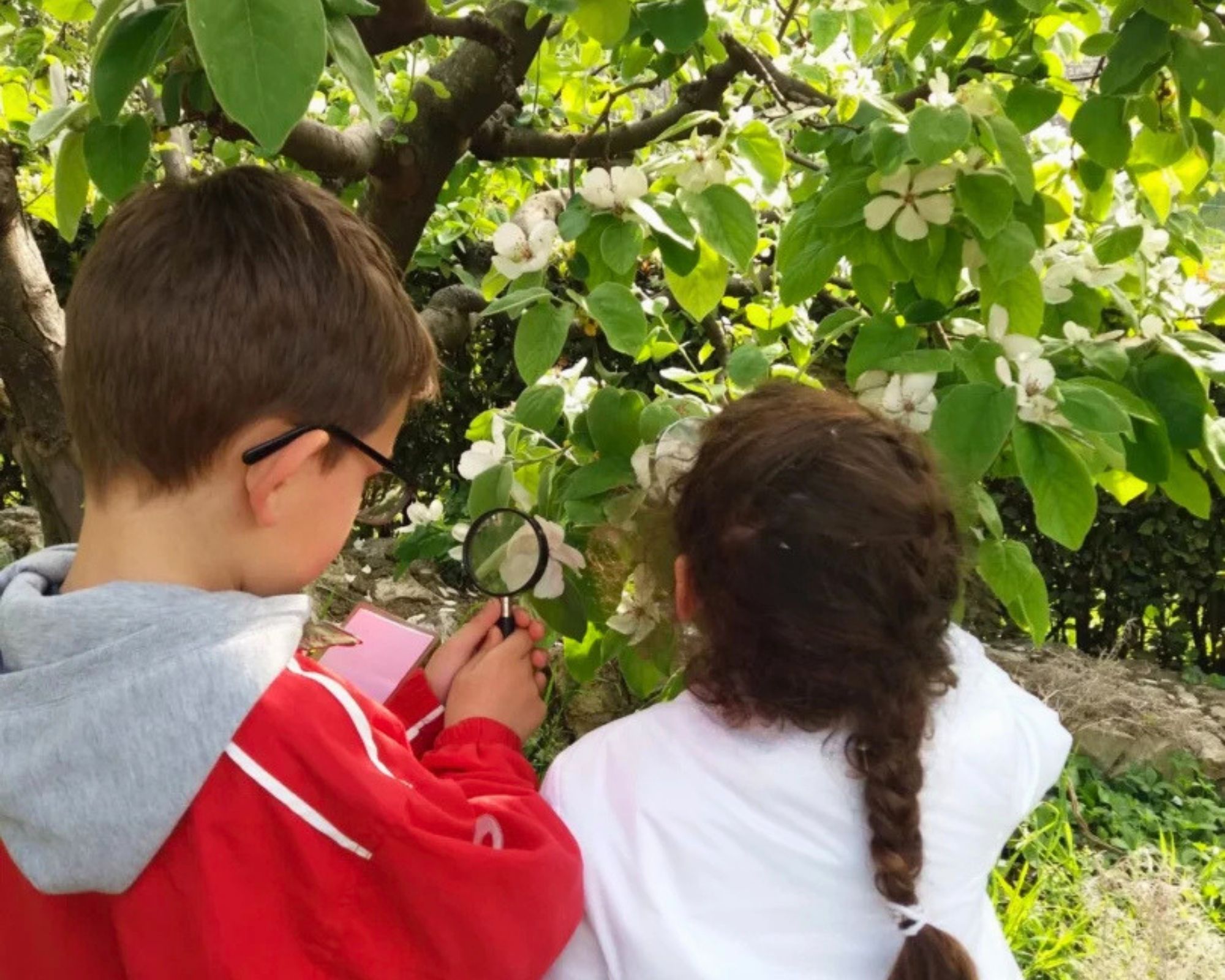 A SPASSO NEL TEMPO. Caccia al tesoro in Castello — Famiglia a Brescia, domenica 21 giugno