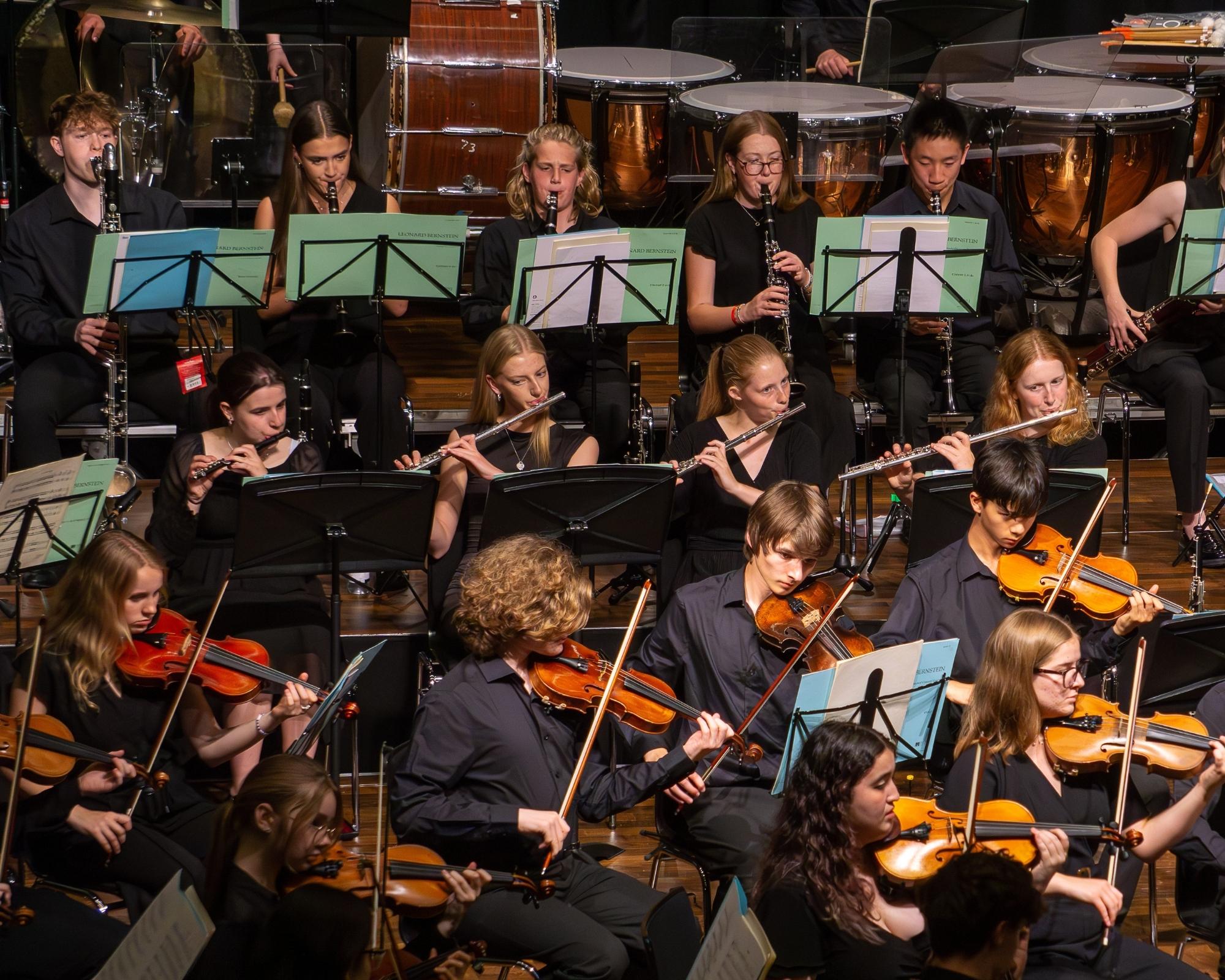 Essex Youth Orchestra in concerto — Musica a Brescia, San Barnaba