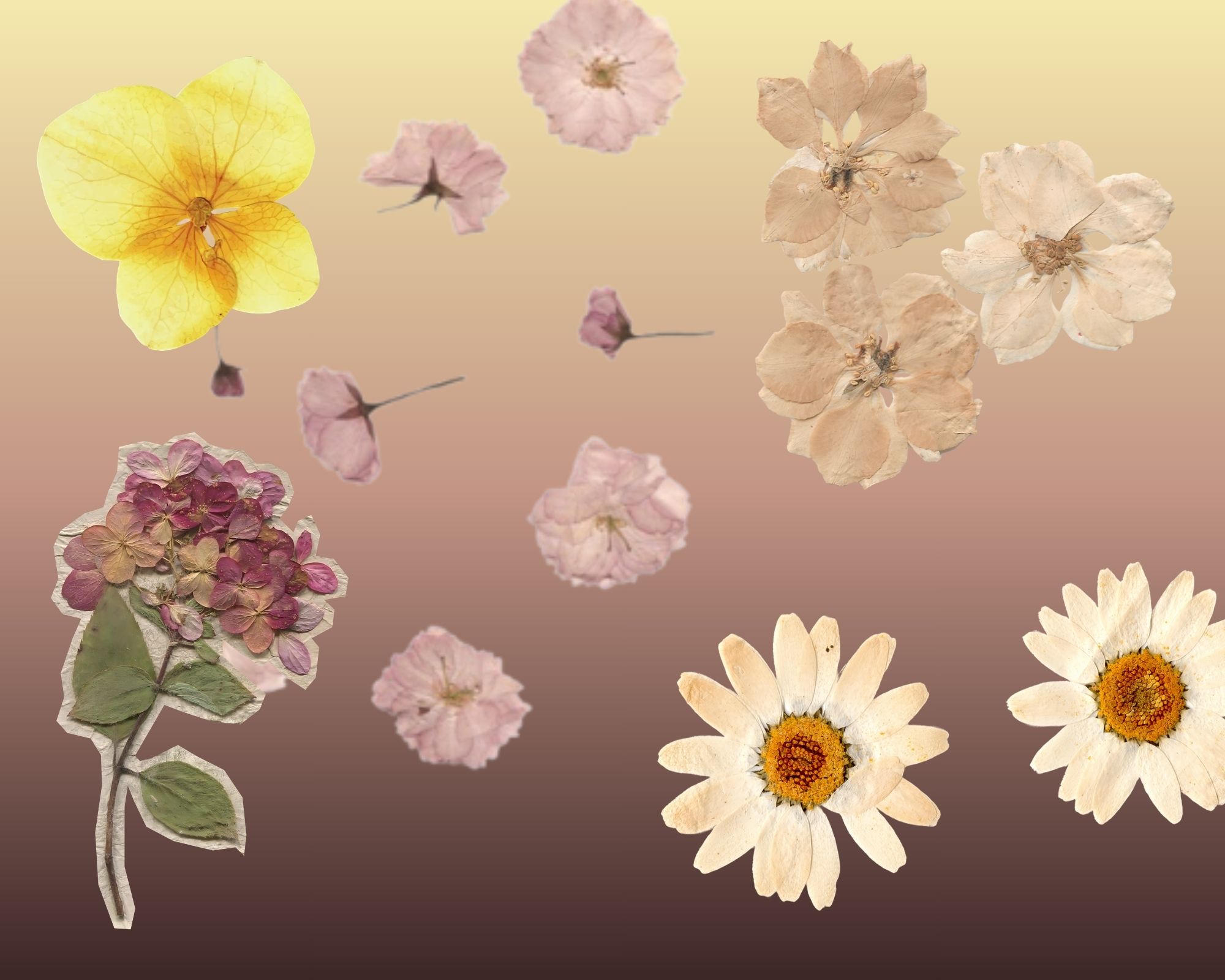 Fiori da indossare — Famiglia a Brescia, TraMe Arte di Beschi Chiara